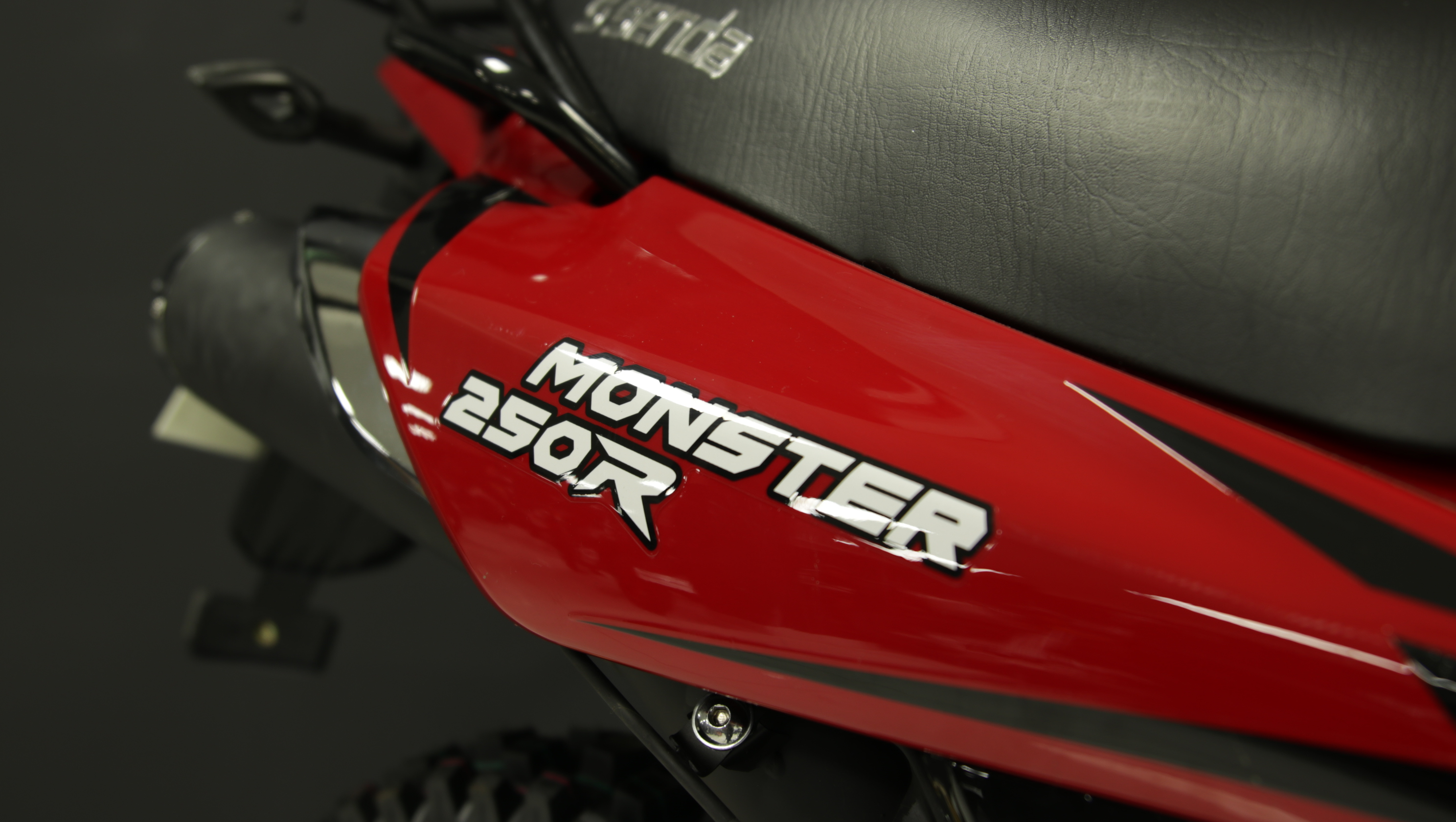 MONSTER 250 R