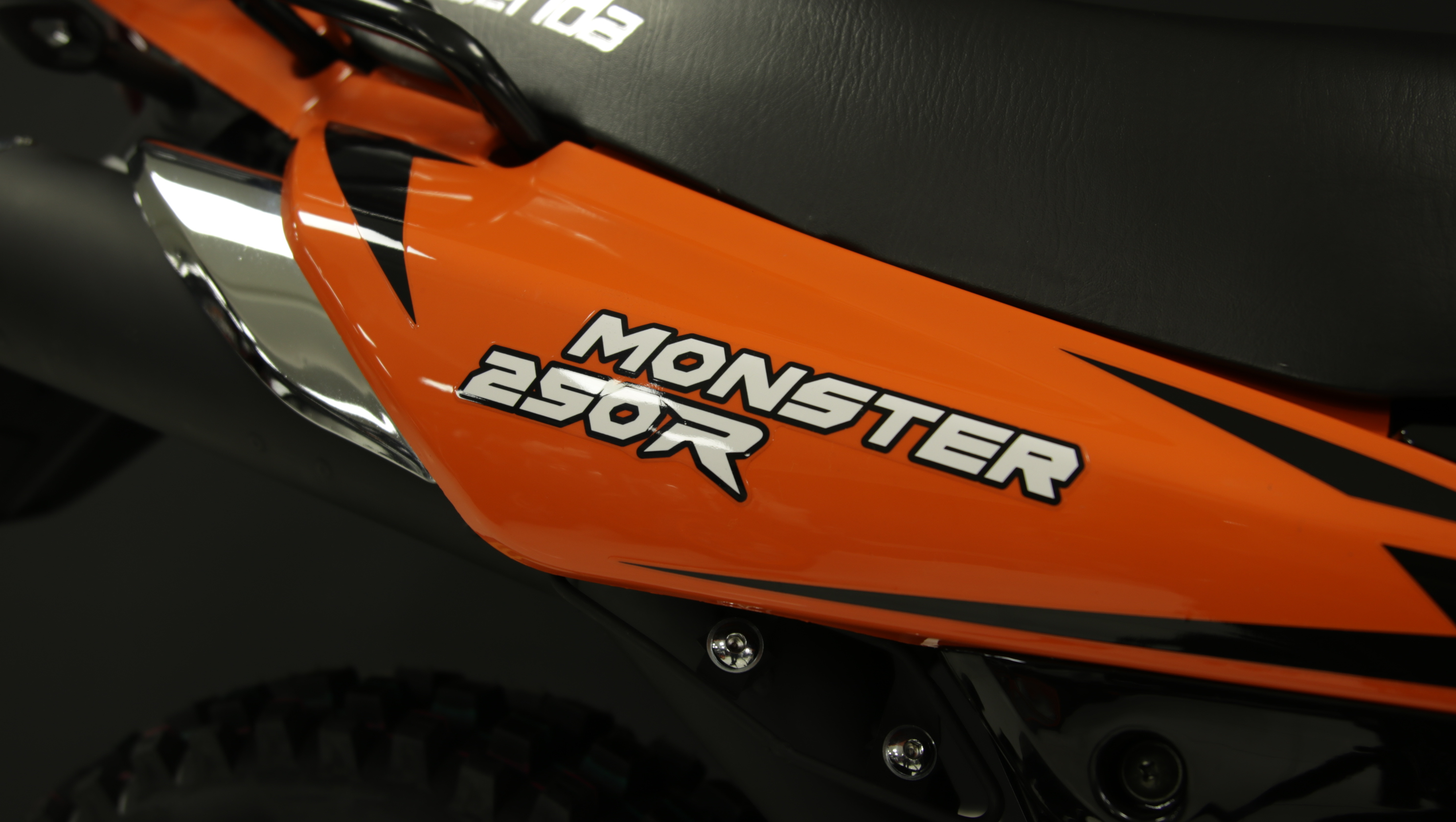 MONSTER 250 R