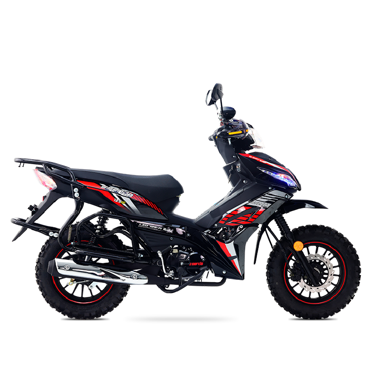 LEO 125 RALLY